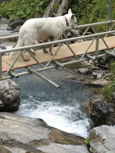 20080921 470 afdaling Oberstdorf