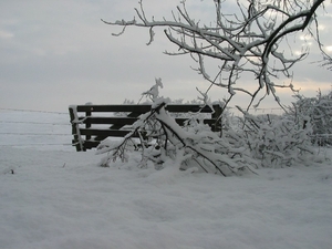 winterfoto (2)