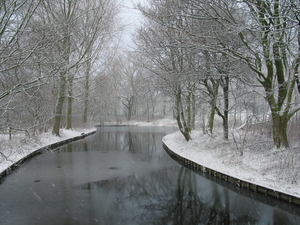 winterfoto (6)