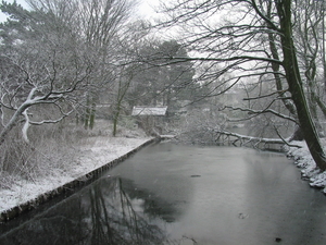 winterfoto (7)