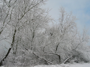 winterfoto (15)