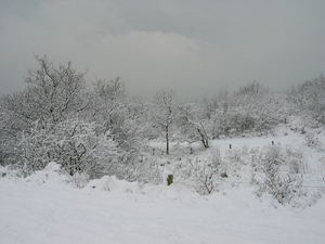 winterfoto (20)