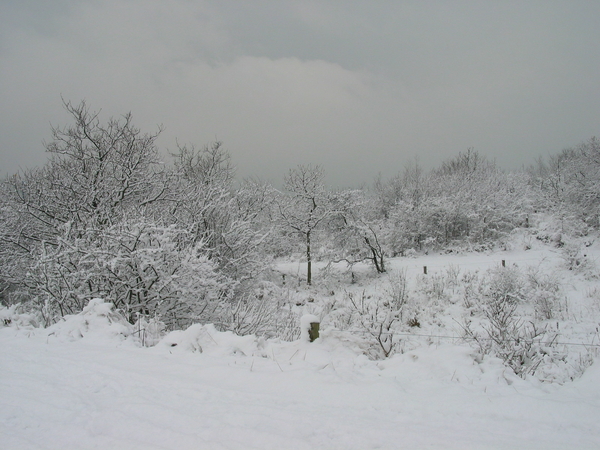 winterfoto (20)