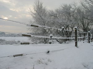 winterfoto (24)