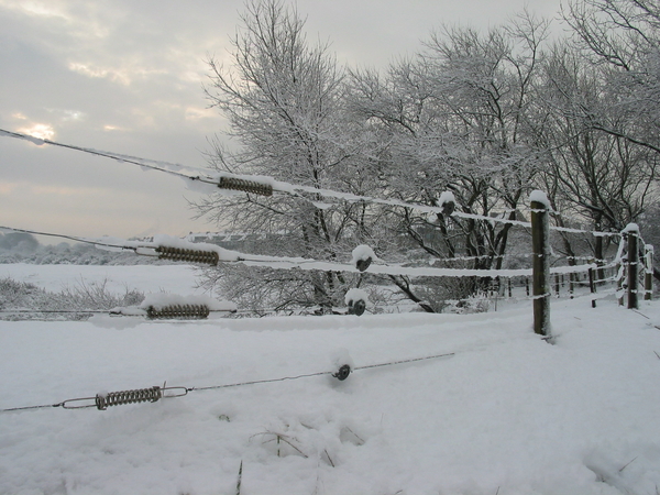 winterfoto (24)