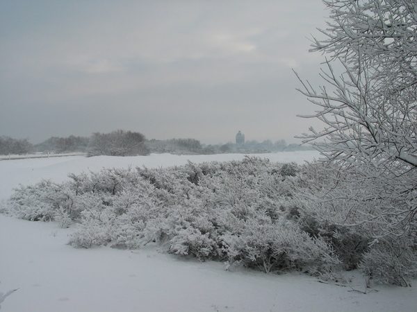 winterfoto (31)