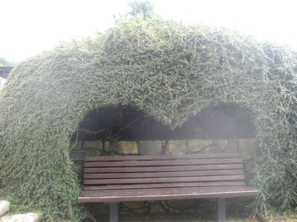 Ierland 2008 047