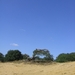 wandelen Hechtel 1