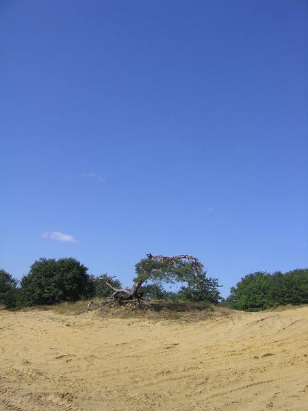 wandelen Hechtel 1