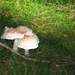 wandelen Hechtel 2