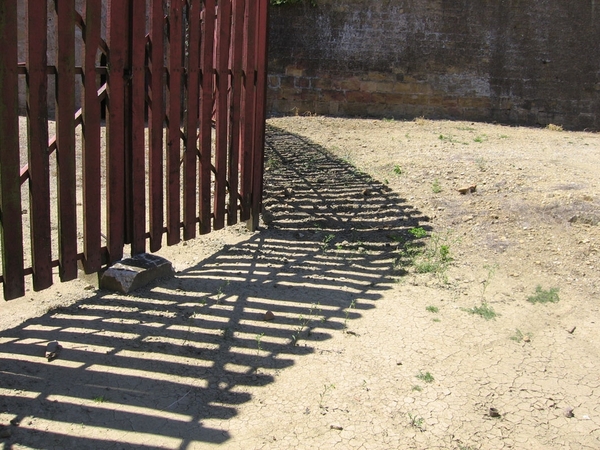 juli 2008 Mondmedy Schaduw