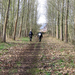 Winterwandeling