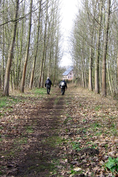 Winterwandeling