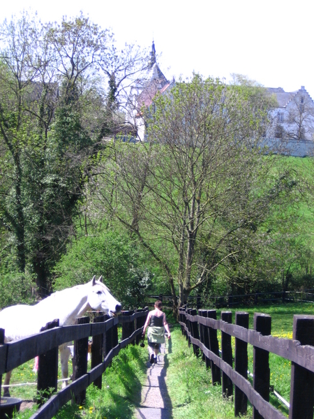 26 april 2008