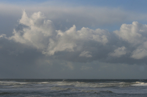 zeefoto 030