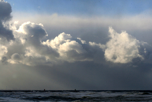 zeefoto 040