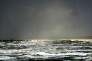 zeefoto 019