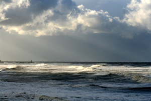 zeefoto 032
