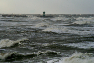 zeefoto 029