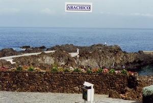 371_ARACHICO