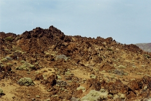 392_VOET_VAN_DE_TEIDE