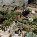 395_MASCA