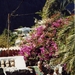 397_MASCA
