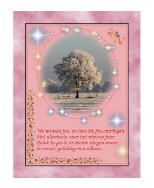 nieuwjaarskaart