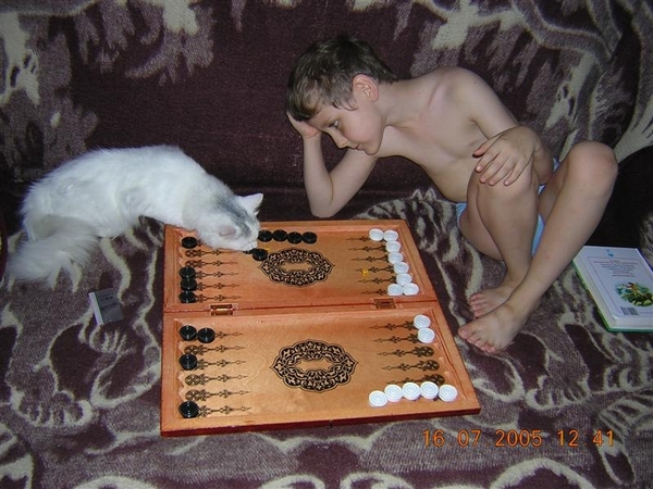 dierenhumor 48 (Medium)