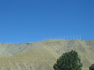 Reis USA - 2008 033