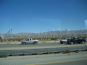 Reis USA - 2008 034