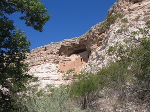 Reis USA - 2008 053