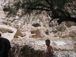 Reis USA - 2008 057