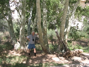Reis USA - 2008 059