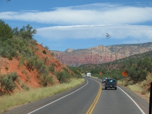 Reis USA - 2008 062