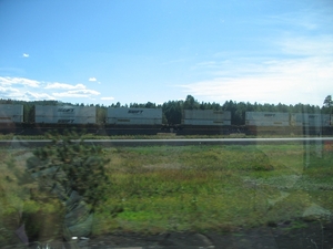 Reis USA - 2008 079