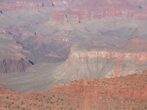 Reis USA - 2008 089
