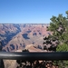 Reis USA - 2008 091