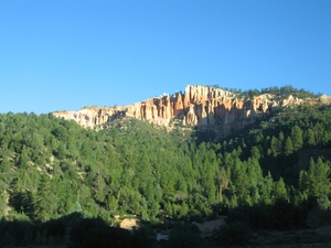 Reis USA - 2008 218