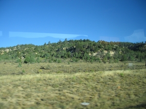 Reis USA - 2008 219