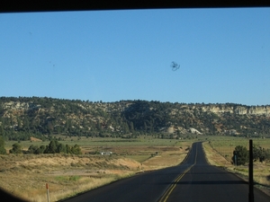 Reis USA - 2008 220