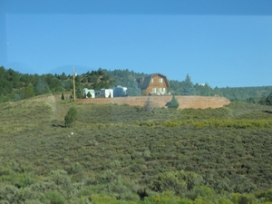 Reis USA - 2008 222