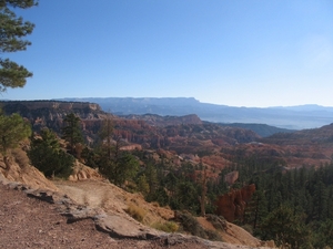 Reis USA - 2008 228