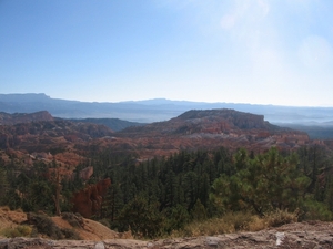 Reis USA - 2008 230
