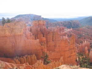 Reis USA - 2008 236