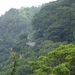 DSC00732