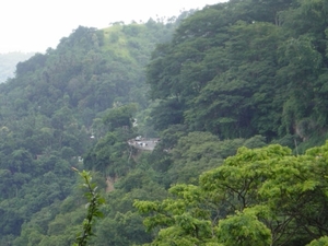 DSC00732