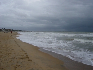 DSC00803
