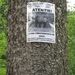 beren in de omgeving