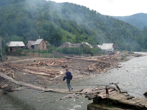 bosontginning in Maramures